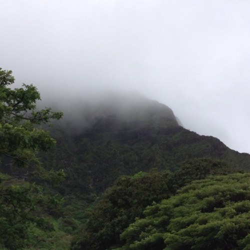 miyei1's profile picture. 