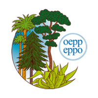 EPPO OEPP(@EPPOnews) 's Twitter Profile Photo