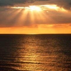 PoetryHappy's profile picture. 