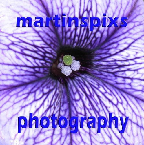 martinmelia Profile Picture