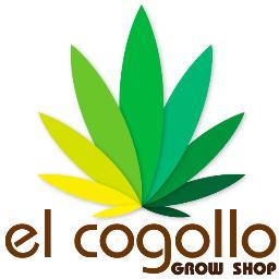 ElCogolloGrow's profile picture. Empresa especializa en el sector del #cannabis o #marihuana.  Si tiene alguna duda sobre #cultivo, no dudes en contactar con nosotros. Salud.