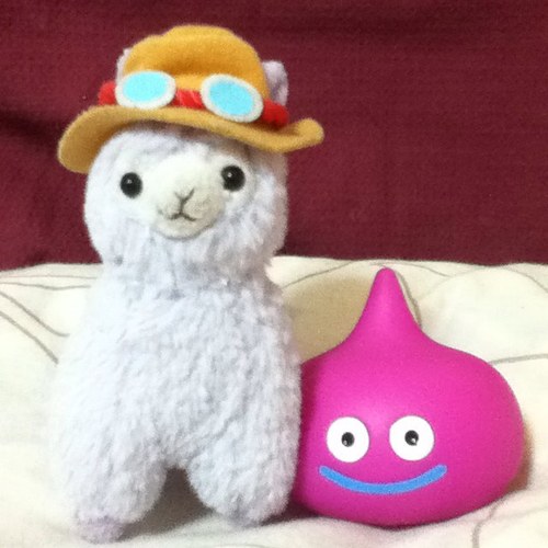 ٩꒰๑･д･꒱۶♡LM.C♡ FC会員。取引垢。よろしくお願いします。猫を飼っています。20↑