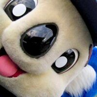 フジタ＠アキレス腱断裂が完治した女 (@junko_fujita) Twitter profile photo