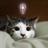 kou_reidis's profile image