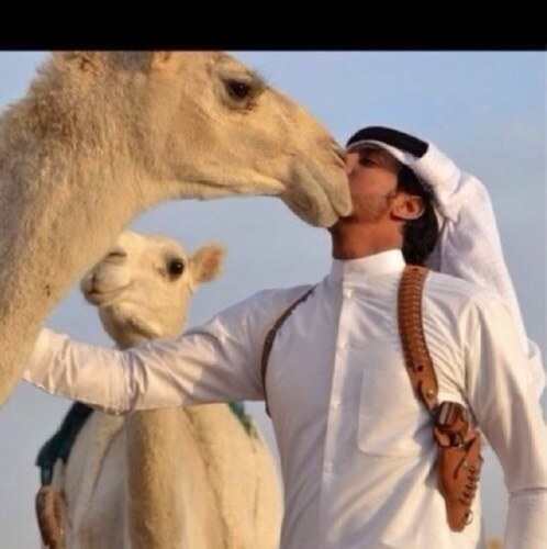 ماجيت لتويتر على شان معشوق وماجيت أدور في.. علوم الرذاله جيت اتسلى واستبق كل مسبوق مدام قافي به ...وصوف الكماله.. .متذوق لشعر وشاعر) (الـكـويـت)