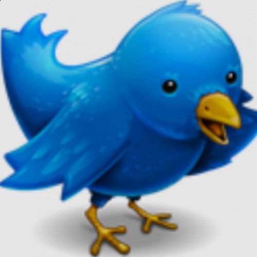 #teamfollowback follow eveybody back. Follow and gain.