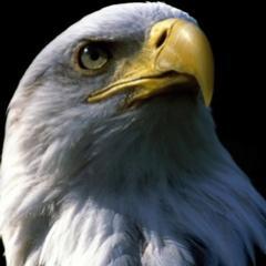 Lo_spauracchio's profile picture. 