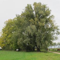 Ondernemersnetwerk De Marne.
Bestuursleden: 
Voorzitter: Gerben Hilgen. Penningmeester: Ton van der Made. Diederik Binnema en Swanny Beukema
