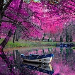 You are the master of your own ship choose wisely whom you let on board.
RT's not an endorsement
