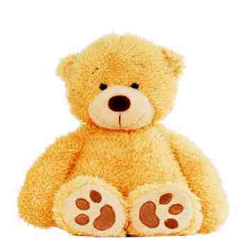 UnknownBear's profile picture. Foodie, Mischief, Motorsport, TV/Films ,