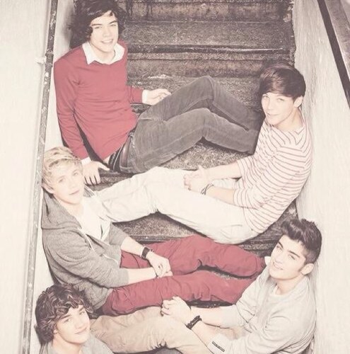 5/5 One Direction, 4/5 British, 3/5 born in 1993, 2/5 have James in their name, 1/5 Irish, and 0/5 follow me! I LOVE ONE DIRECTION. ❤ FOLLOW ME.
