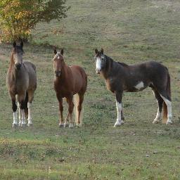 Enjoy living and working in Shelby County, Alabama