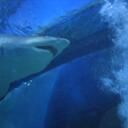 Brent Orr - @brentorr1 - Twitter