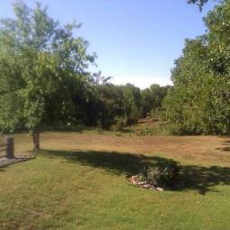 Blueberry Acres Farm: How our family went from city to country in 1,203,390 easy steps.  Homesteading, recipes, parenting, organics, gardening and more!