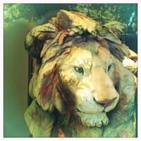 Maud Van de Velde (@ellenmaud) 's Twitter Profile