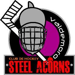 Steel Acorns Oficial