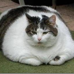 PuffMama2's profile picture. 