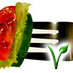 vegtablewiki's profile picture. My name is Sharon and I created Veg Table: a travel and restaurant website and community for vegans and vegetarians.