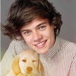 99Ginnasta's profile picture. You are the people who are most special to me @onedirection
@harry_styles you are the person that makes me happy every second of my life.
:D