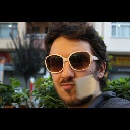 Software Developer