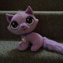 Penny chapman - @Pennychapman17 - Twitter