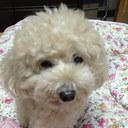 dean lan - @deanlan - Twitter