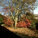 ursula casey - @ursulacas - Twitter