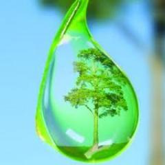 Noticias y opinión sobre temas de agua y medioambiente. Water and environment news and opinions.