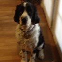 Kim Parks - @Kimsueparks - Twitter