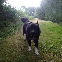 KieranPBO's profile picture. 