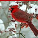 harold carpenter - @haroldcarpente4 - Twitter