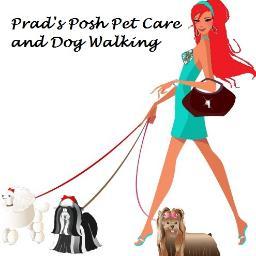 Dog Walking and High Quality In-Home Pet Care for Dogs, Cats, Birds and other small pets throughout Pewaukee, Waukesha and the Lake Country Areas