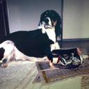 William Stoneberg - @WilliamStoneber - Twitter