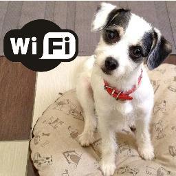 Dog friendly kafić na Gupčevoj zvijezdi. Free Wi-Fi. 
https://t.co/9wImJzoyTc