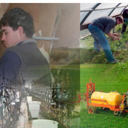 Creados en la ciudad de Osorno, Decima Region de Chile. Somos una empresa, dedicados personalmente, para apoyar y facilitar la busqueda y selección para usted.