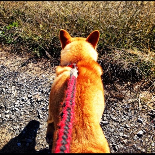 aknさんのプロフィール画像