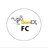 DomexFC's profile image