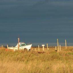 tracyblackiston's profile picture. Director owner Morston Hall hotel & restuarant on the North Norfolk and N0 1 Cromer @morstonhall @no1cromer #fishandchips #michelinstar