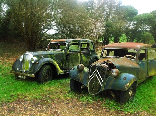 PainInTheStore's profile picture. Shopping, eating, trying and sharing our experience with the world. Follow us to keep in touch! We respond to all tweets.