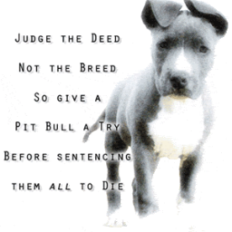 Hi I am a student talking about the pit bull ban and why it's bad.