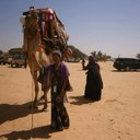 Adem ibrahim - @ademibrahim2 - Twitter