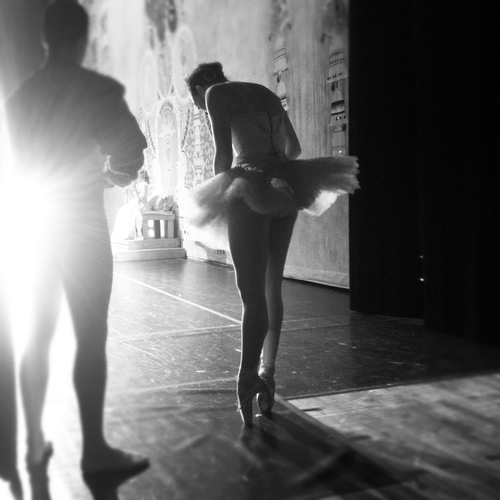 Non-profit Regional Ballet Company, based out of Maryville, TN.
