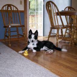 iamdpetey8's profile picture. 