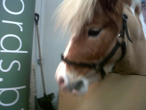 remembermeALFIE's profile picture. 