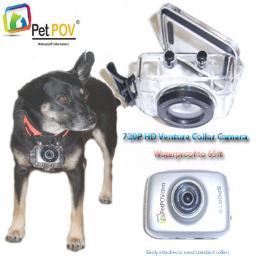 PetPOVcamera's profile picture. No other POV Collar Camera on the market has the rugged water/shockproof design features as the Pet POV Camera does at an unbeatable price point for the value.