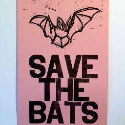 SaveABat's profile picture. We are an environmental group whose main task right now is to protect bats. Our goal is to inform the world about bat problems and to save bats around the world