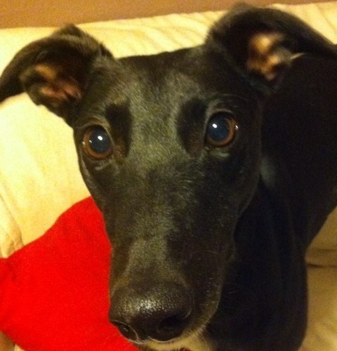 EwanSpunky's profile picture. 