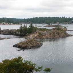 ZachBraid's profile picture. Entrepreneur