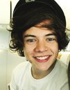 I am Directioner and Jonastic