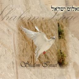 Simxa777's profile picture. 